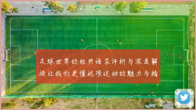 足球世界的经典语录评析与深度解读让我们更懂这项运动的魅力与精神