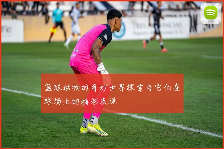 篮球动物的奇妙世界探索与它们在球场上的精彩表现