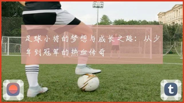 足球小将的梦想与成长之路：从少年到冠军的热血传奇