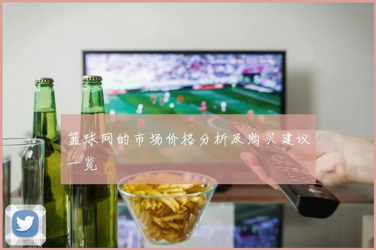 篮球网的市场价格分析及购买建议一览